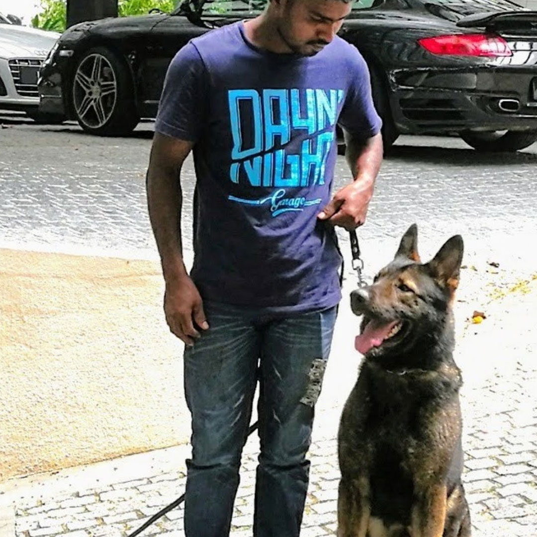 Personal Protection Dog