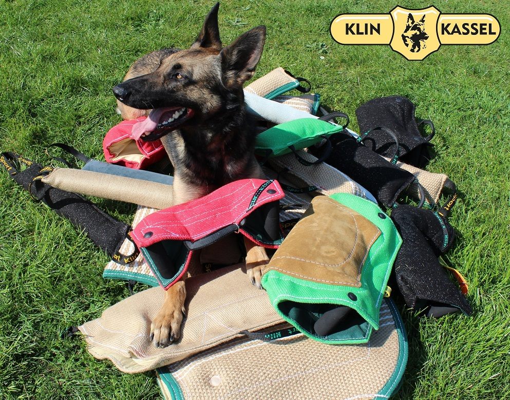 Dog training equipments