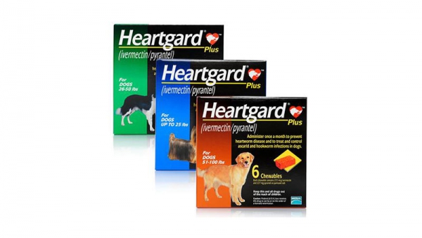 Heartgard Plus Chewables