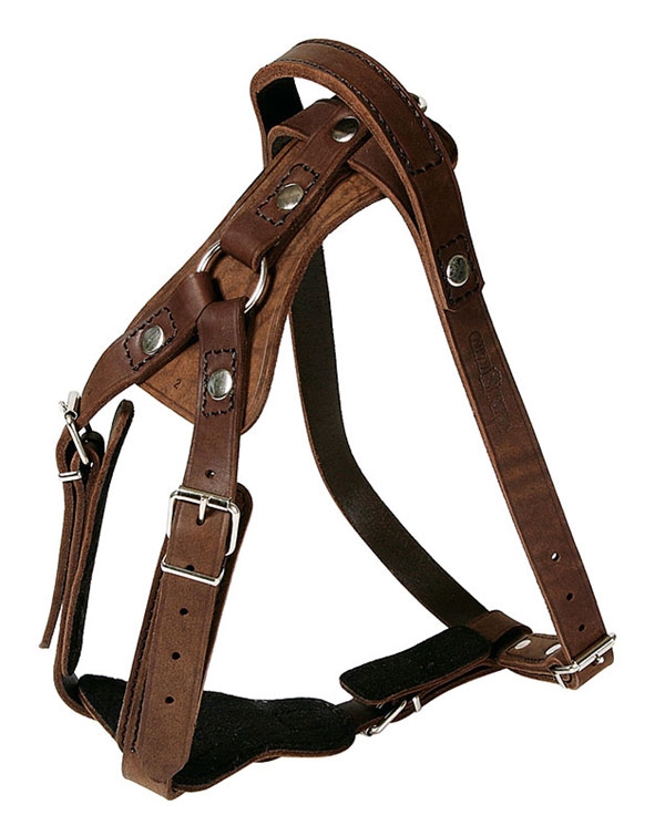 Work Harness